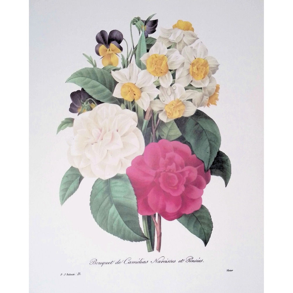 Redoute Camellia Narcissus Pansy Flower Bouquet Botanical Print Vintage Wall Art